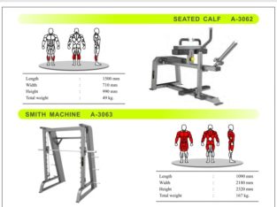 Seated Calf and Smith Machine