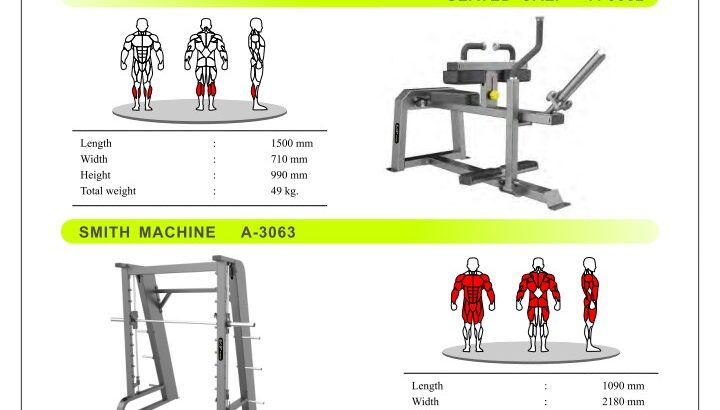 Seated Calf and Smith Machine