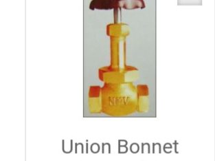 Union Bonnet Renewable Seated Valve