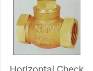 Horizontal Check Valve