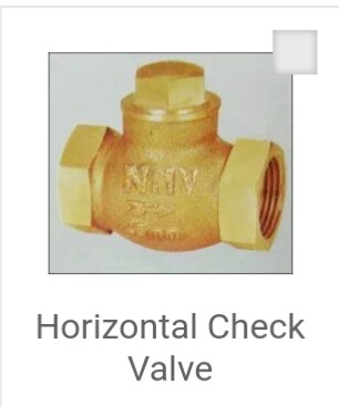 Horizontal Check Valve