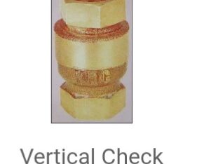 Vertical Check Valves