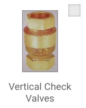 Vertical Check Valves