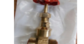 Gate Valve