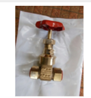 Gate Valve